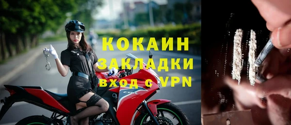 дживик Алзамай