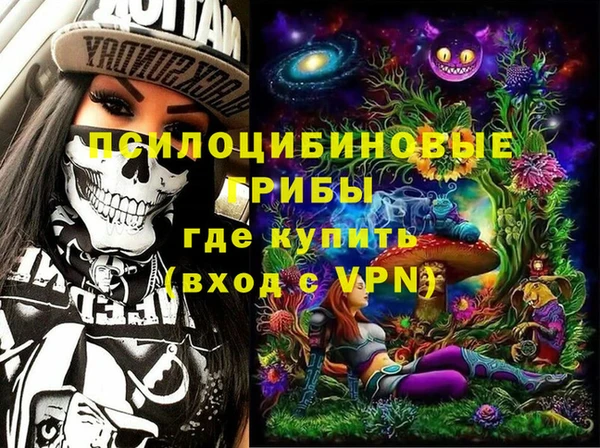 PSILOCYBIN Алексин