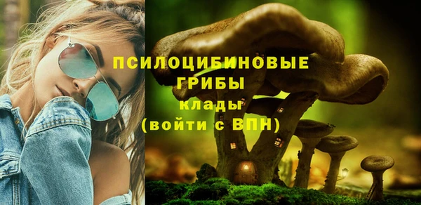 дживик Алзамай
